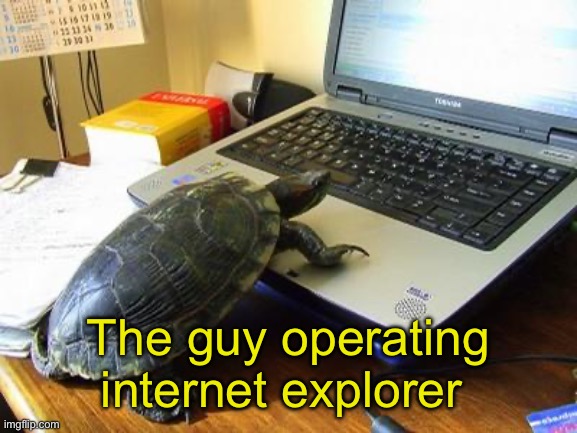 Turtle | The guy operating internet explorer | image tagged in turtle computer | made w/ Imgflip meme maker