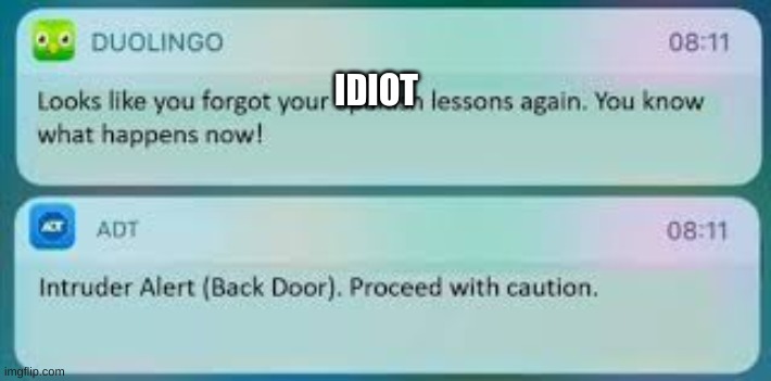 Duolingo Text Message | IDIOT | image tagged in duolingo text message | made w/ Imgflip meme maker