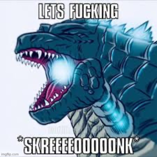 LETS FUCKING *SKREEEEEEEOOOOOOOONK* | image tagged in lets fucking skreeeeeeeoooooooonk | made w/ Imgflip meme maker