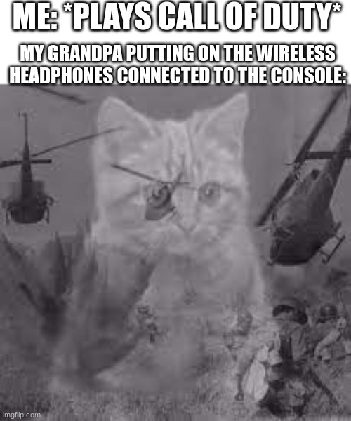 Cat war flashback | ME: *PLAYS CALL OF DUTY*; MY GRANDPA PUTTING ON THE WIRELESS HEADPHONES CONNECTED TO THE CONSOLE: | image tagged in cat war flashback,call of duty | made w/ Imgflip meme maker