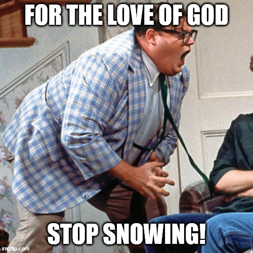 For the love of God stop snowing! | FOR THE LOVE OF GOD; STOP SNOWING! | image tagged in chris farley for the love of god | made w/ Imgflip meme maker