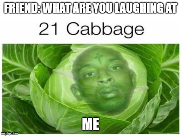 2.1 cabbage | FRIEND: WHAT ARE YOU LAUGHING AT; ME | image tagged in 21 savage,cabbage,bars,yup | made w/ Imgflip meme maker