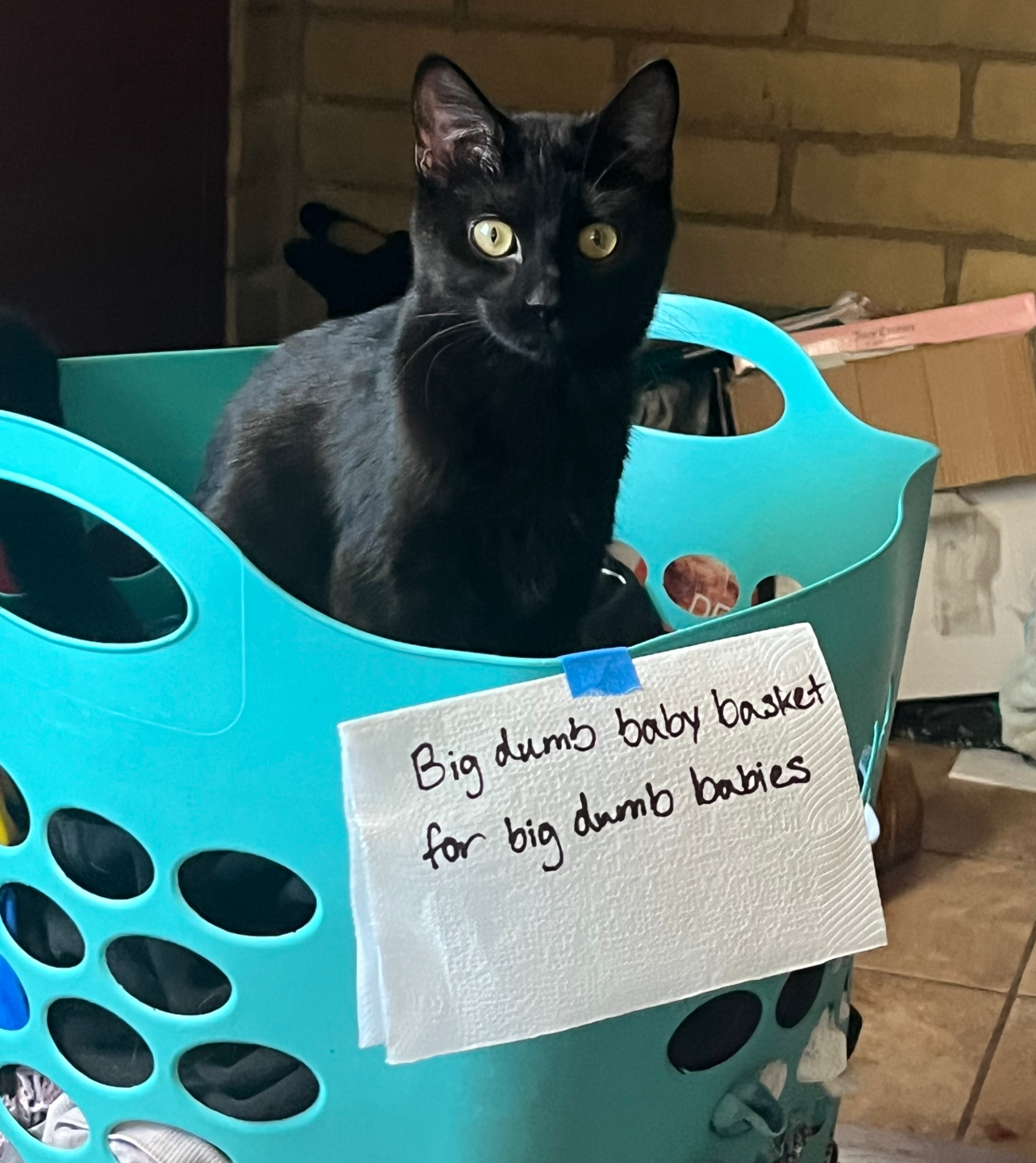 Big dumb baby basket for big dumb babies Blank Meme Template