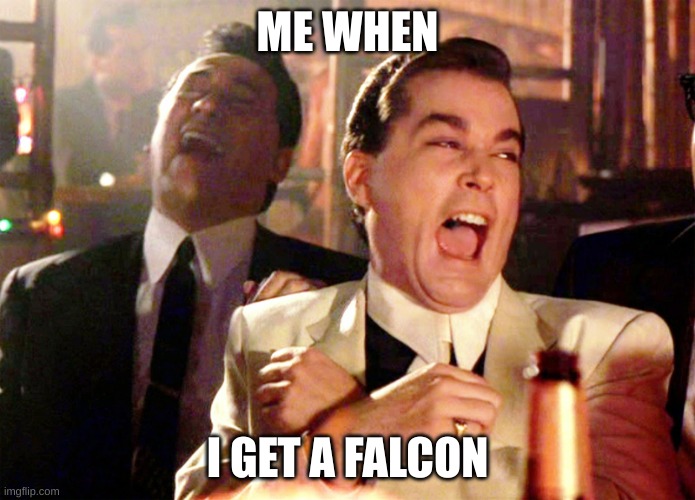 Bruh | ME WHEN; I GET A FALCON | image tagged in memes,good fellas hilarious | made w/ Imgflip meme maker