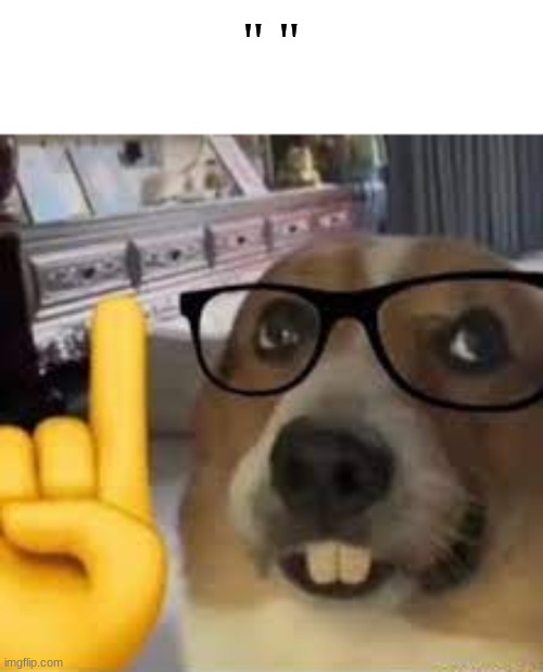 nerd dog | " " | image tagged in nerd dog | made w/ Imgflip meme maker