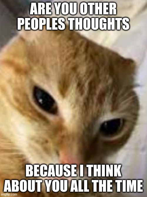 Rizz cat | ARE YOU OTHER PEOPLES THOUGHTS BECAUSE I THINK ABOUT YOU ALL THE TIME | image tagged in rizz cat | made w/ Imgflip meme maker