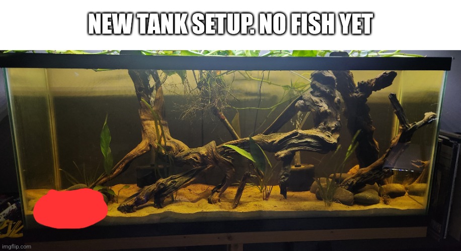 NEW TANK SETUP. NO FISH YET | made w/ Imgflip meme maker
