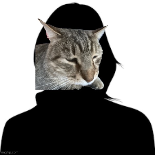 Catgirl gf | image tagged in cat,stupid,misunderstanding | made w/ Imgflip meme maker