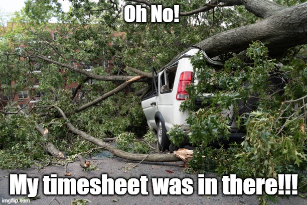 The tree crushed my Timesheet | Oh No! My timesheet was in there!!! | image tagged in tree damage,storm damage,timesheet,crushed car | made w/ Imgflip meme maker
