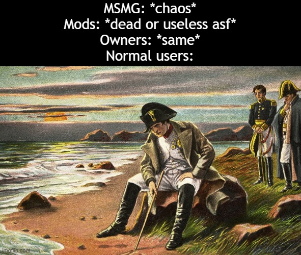 Napoleon | MSMG: *chaos*
Mods: *dead or useless asf*
Owners: *same*
Normal users: | image tagged in napoleon | made w/ Imgflip meme maker