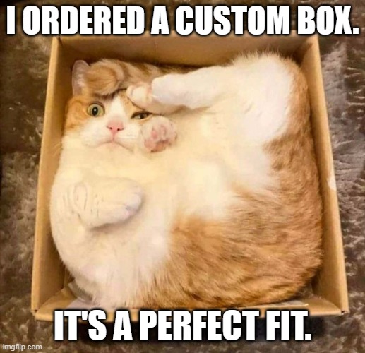 memes by Brad Look Ma I'm a rug | I ORDERED A CUSTOM BOX. IT'S A PERFECT FIT. | image tagged in cats,funny,funny cat,funny cat memes,humor | made w/ Imgflip meme maker