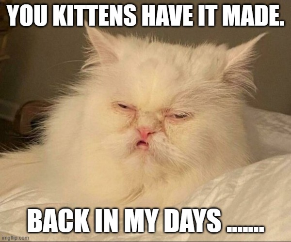memes by Brad kittens today have it made | YOU KITTENS HAVE IT MADE. BACK IN MY DAYS ....... | image tagged in cats,funny,funny cat memes,kittens,humor,funny meme | made w/ Imgflip meme maker