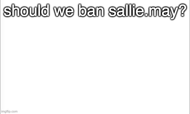 white background | should we ban sallie.may? | image tagged in white background | made w/ Imgflip meme maker