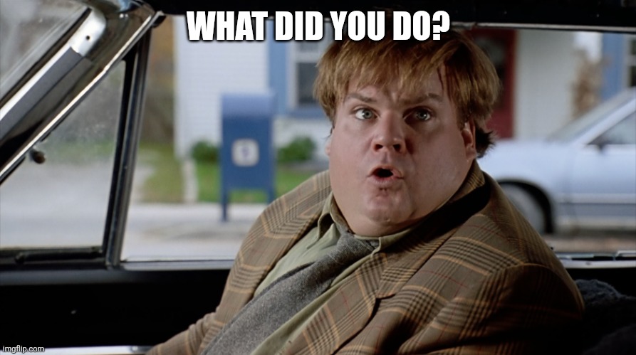 What did you do? | WHAT DID YOU DO? | image tagged in what did you do | made w/ Imgflip meme maker