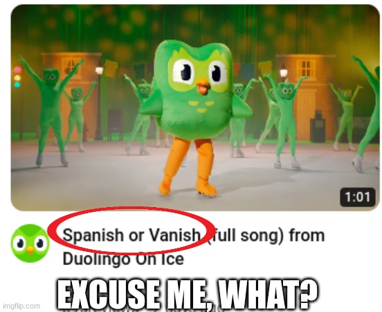 uhmm, im quitting duolingo | EXCUSE ME, WHAT? | image tagged in fun | made w/ Imgflip meme maker