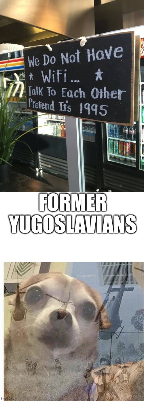 FORMER YUGOSLAVIANS | image tagged in ptsd chihuahua | made w/ Imgflip meme maker