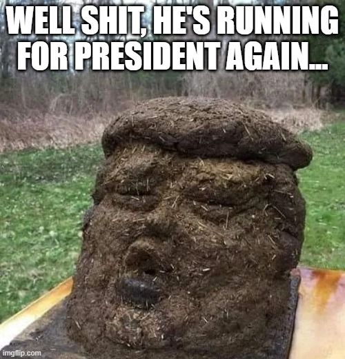 Trumpy Poo | WELL SHIT, HE'S RUNNING FOR PRESIDENT AGAIN... | image tagged in politics,trump | made w/ Imgflip meme maker