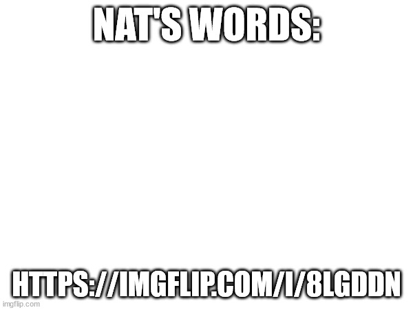 NAT'S WORDS:; HTTPS://IMGFLIP.COM/I/8LGDDN | image tagged in msmg | made w/ Imgflip meme maker