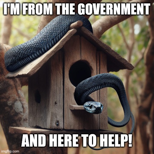 Help is here! | I'M FROM THE GOVERNMENT; AND HERE TO HELP! | image tagged in whitehouse,government | made w/ Imgflip meme maker