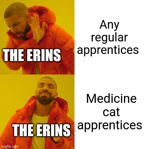 Drake Hotline Bling Meme | Any regular apprentices; THE ERINS; Medicine cat apprentices; THE ERINS | image tagged in memes,drake hotline bling,warrior cats,medicine,cats,books | made w/ Imgflip meme maker