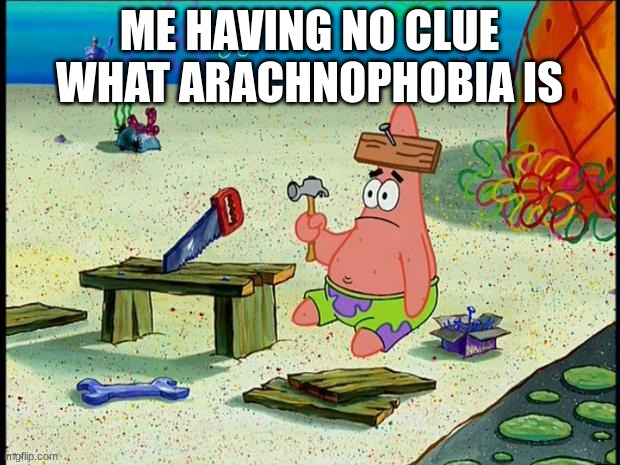 Patrick  | ME HAVING NO CLUE WHAT ARACHNOPHOBIA IS | image tagged in patrick | made w/ Imgflip meme maker