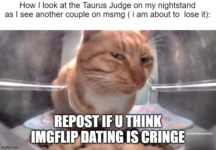 Repost if Imgflip dating is cringe | REPOST IF U THINK IMGFLIP DATING IS CRINGE | image tagged in repost if imgflip dating is cringe | made w/ Imgflip meme maker
