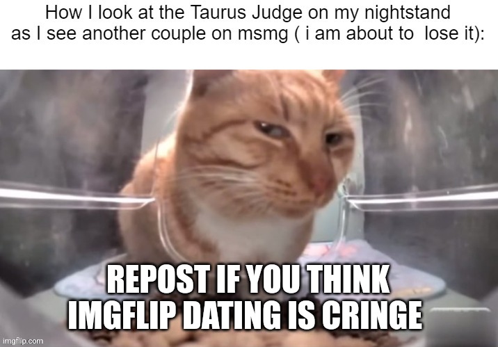 Repost if Imgflip dating is cringe | REPOST IF YOU THINK IMGFLIP DATING IS CRINGE | image tagged in repost if imgflip dating is cringe | made w/ Imgflip meme maker