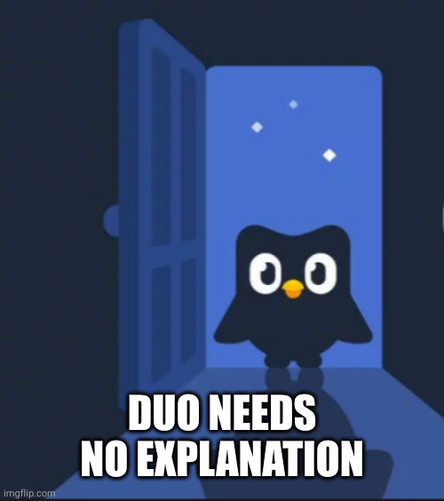 Duolingo bird | DUO NEEDS NO EXPLANATION | image tagged in duolingo bird | made w/ Imgflip meme maker