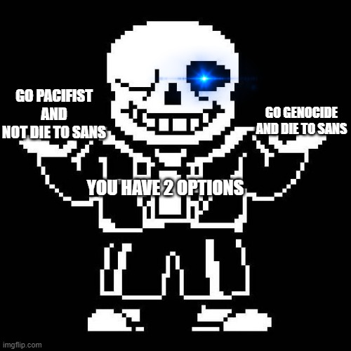 real cannon game options | GO GENOCIDE AND DIE TO SANS; GO PACIFIST AND NOT DIE TO SANS; YOU HAVE 2 OPTIONS | image tagged in sans undertale | made w/ Imgflip meme maker