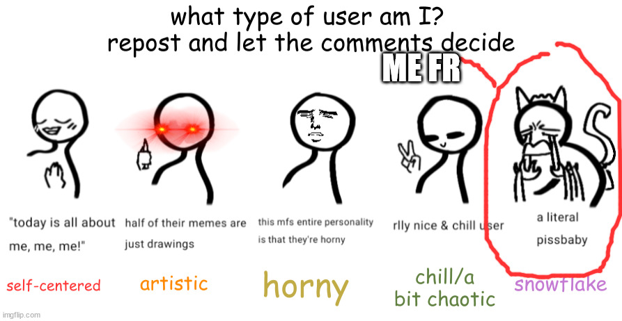 what type of user am I (made by cherub) | ME FR | image tagged in what type of user am i made by cherub | made w/ Imgflip meme maker