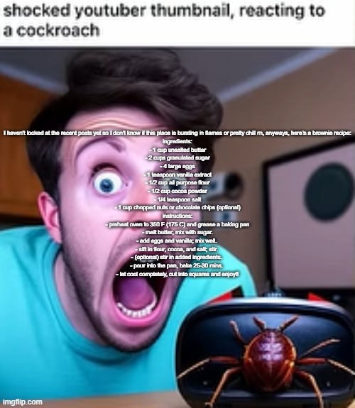 shocked youtuber thumbnail, reacting to a cockroach | I haven't looked at the recent posts yet so I don't know if this place is bursting in flames or pretty chill rn, anyways, here’s a brownie recipe:
ingredients:
- 1 cup unsalted butter
- 2 cups granulated sugar
- 4 large eggs
- 1 teaspoon vanilla extract
- 1/2 cup all purpose flour
- 1/2 cup cocoa powder
- 1/4 teaspoon salt
- 1 cup chopped nuts or chocolate chips (optional)
instructions:
- preheat oven to 350 F (175 C) and grease a baking pan
- melt butter, mix with sugar.
- add eggs and vanilla; mix well. 
- sift in flour, cocoa, and salt; stir. 
- (optional) stir in added ingredients. 
- pour into the pan, bake 25-30 mins. 
- let cool completely, cut into squares and enjoy!! | image tagged in shocked youtuber thumbnail reacting to a cockroach | made w/ Imgflip meme maker