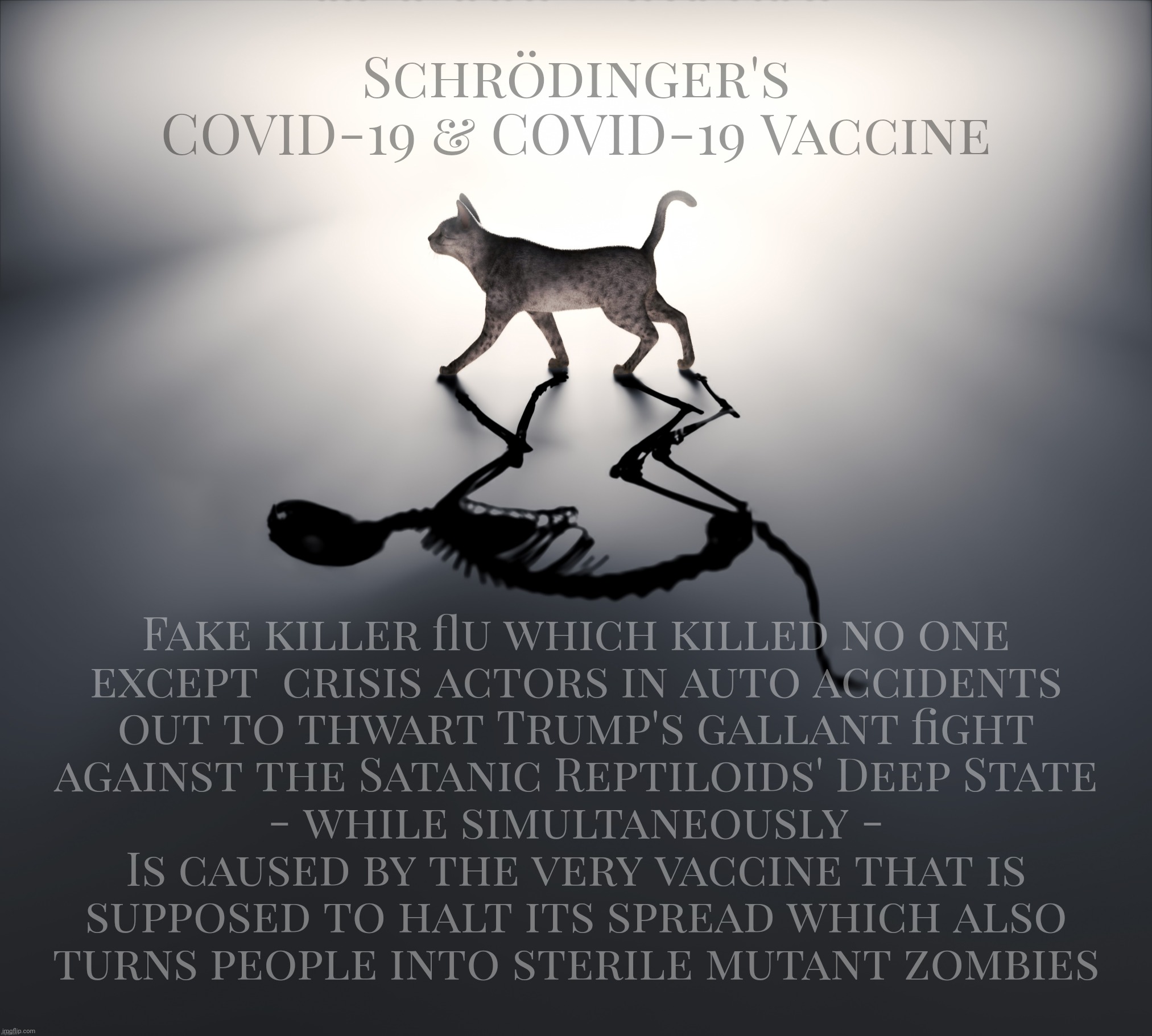 Schrödinger's COVID-19 & Vaxx Cat | Schrödinger's
COVID-19 & COVID-19 Vaccine; Fake killer flu which killed no one
except  crisis actors in auto accidents
out to thwart Trump's gallant fight
against the Satanic Reptiloids' Deep State
- while simultaneously -
Is caused by the very vaccine that is
supposed to halt its spread which also
turns people into sterile mutant zombies | image tagged in schrodinger's cat,schrodinger's covid-19,schrodinger's covid-19 vaccine,conspiracy theories,maga paranoia,trump sad | made w/ Imgflip meme maker