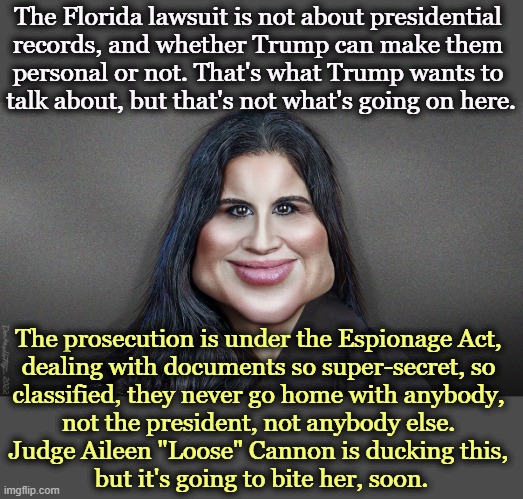 Presidential vs Personal Documents is irrelevant. What matters is Espionage. | The Florida lawsuit is not about presidential 
records, and whether Trump can make them 
personal or not. That's what Trump wants to 
talk about, but that's not what's going on here. The prosecution is under the Espionage Act, 
dealing with documents so super-secret, so 
classified, they never go home with anybody, 
not the president, not anybody else. 
Judge Aileen "Loose" Cannon is ducking this, 
but it's going to bite her, soon. | image tagged in trump,espionage,spy,classified,secrets,cannon | made w/ Imgflip meme maker