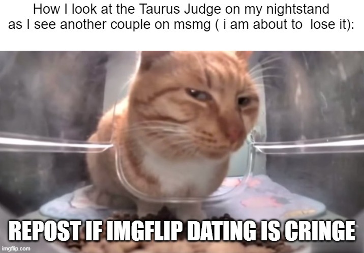 Repost if Imgflip dating is cringe | REPOST IF IMGFLIP DATING IS CRINGE | image tagged in repost if imgflip dating is cringe | made w/ Imgflip meme maker