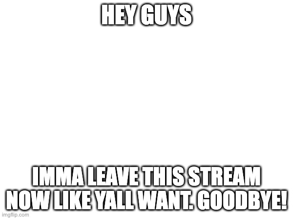HEY GUYS; IMMA LEAVE THIS STREAM NOW LIKE YALL WANT. GOODBYE! | made w/ Imgflip meme maker