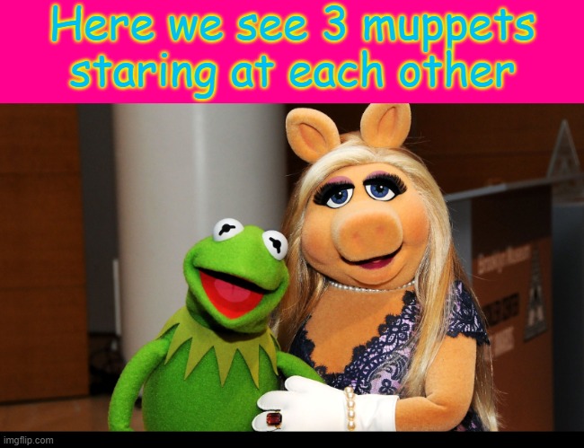 Here we see 3 muppets staring at each other | made w/ Imgflip meme maker