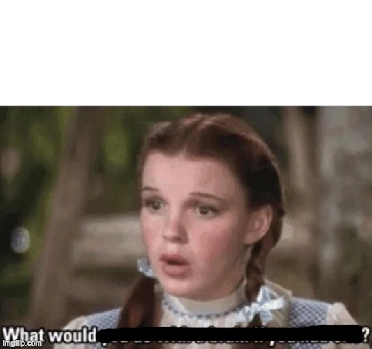 What would you do with a brain if you had one? | image tagged in what would you do with a brain if you had one | made w/ Imgflip meme maker