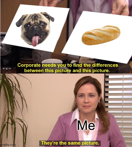 Pugs are big loaves | Me | image tagged in memes,they're the same picture | made w/ Imgflip meme maker