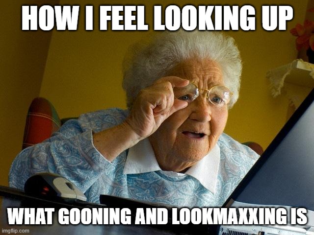 Grandma Finds The Internet Meme | HOW I FEEL LOOKING UP; WHAT GOONING AND LOOKMAXXING IS | image tagged in memes,grandma finds the internet | made w/ Imgflip meme maker