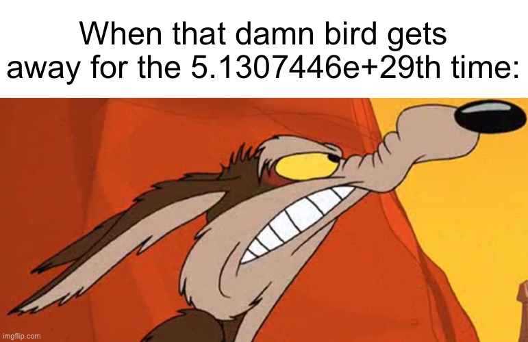 When that damn bird gets away for the 5.1307446e+29th time: | made w/ Imgflip meme maker