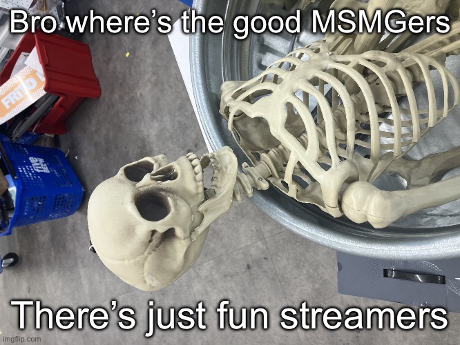 Man I’m Dead | Bro where’s the good MSMGers; There’s just fun streamers | image tagged in man i m dead | made w/ Imgflip meme maker