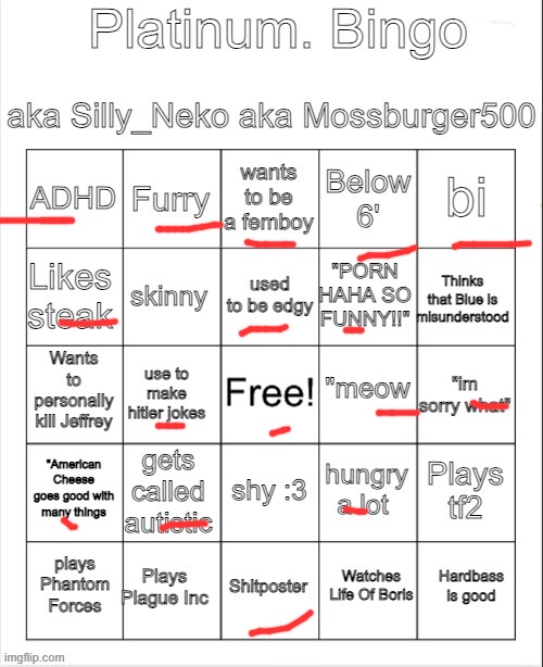 Platinum. bingo | image tagged in platinum bingo | made w/ Imgflip meme maker