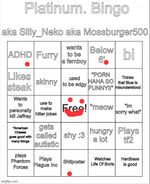 Platinum. bingo | image tagged in platinum bingo | made w/ Imgflip meme maker