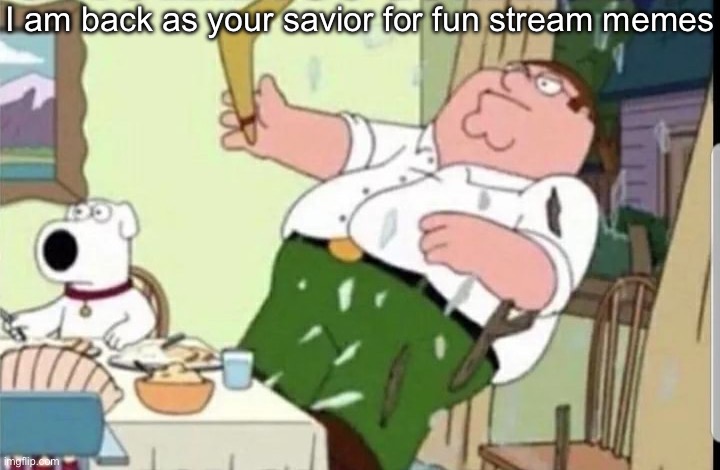 Mood | I am back as your savior for fun stream memes | image tagged in mood | made w/ Imgflip meme maker