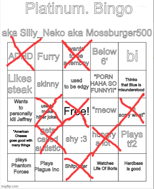 Platinum. bingo | image tagged in platinum bingo | made w/ Imgflip meme maker