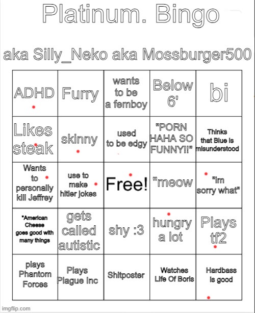 Platinum. bingo | image tagged in platinum bingo | made w/ Imgflip meme maker