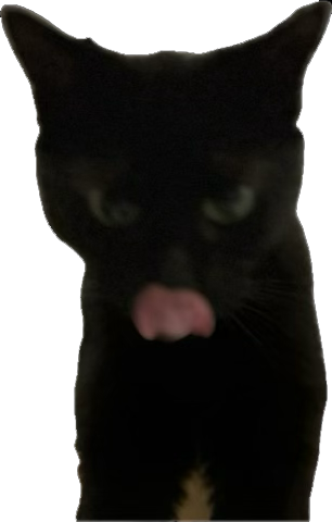 cat sticking out tongue Blank Meme Template