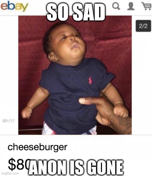 Real | SO SAD; ANON IS GONE | image tagged in cheeseburger real | made w/ Imgflip meme maker