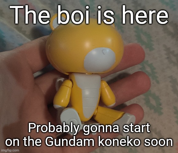 I overestimated the size of this so it'll probably take a bit more effort than I thought | The boi is here; Probably gonna start on the Gundam koneko soon | made w/ Imgflip meme maker