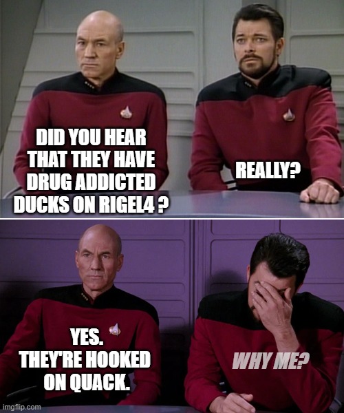 Picard Riker listening to a pun | REALLY? DID YOU HEAR THAT THEY HAVE DRUG ADDICTED DUCKS ON RIGEL4 ? YES.
THEY'RE HOOKED 
ON QUACK. WHY ME? | image tagged in picard riker listening to a pun | made w/ Imgflip meme maker
